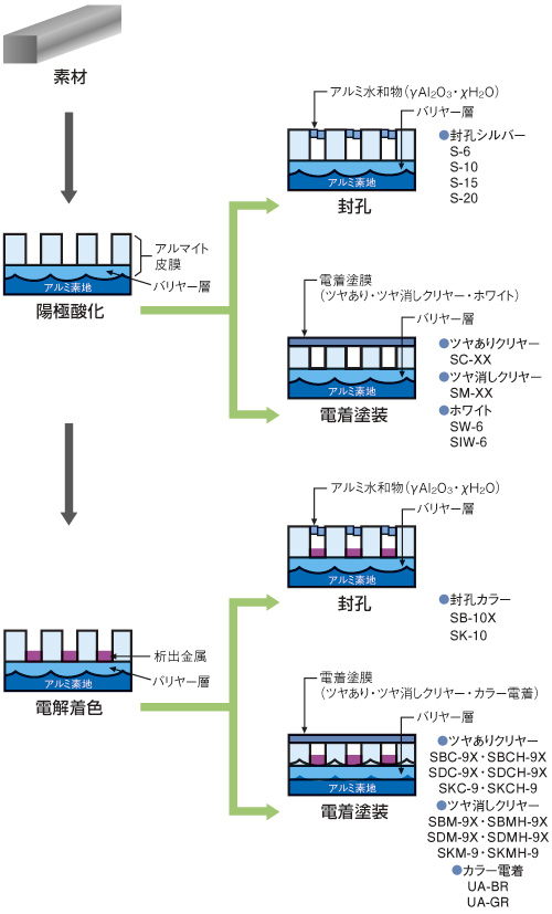 陽極酸化皮膜及び複合皮膜モデル